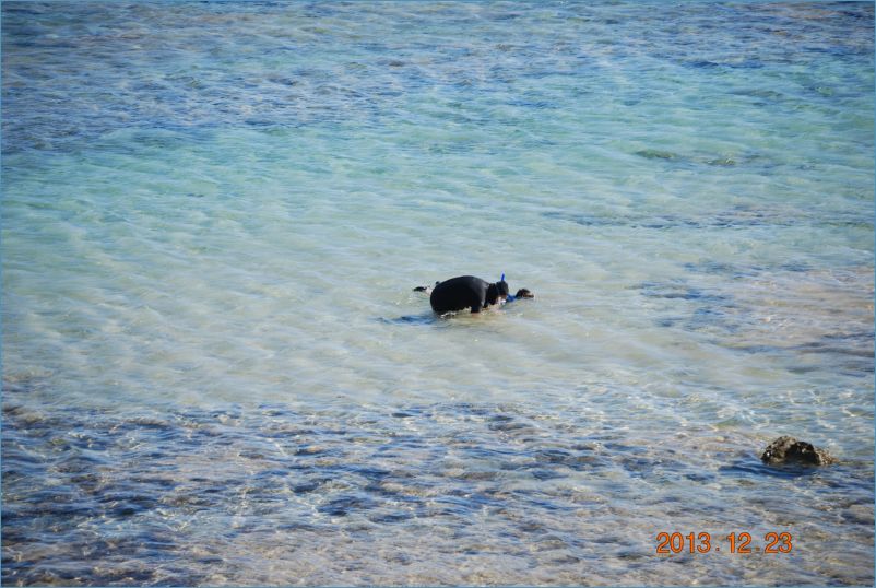 sharm 12 068